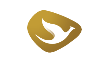 Driver Rental Bandara & Hotel di Rental Goldenbird